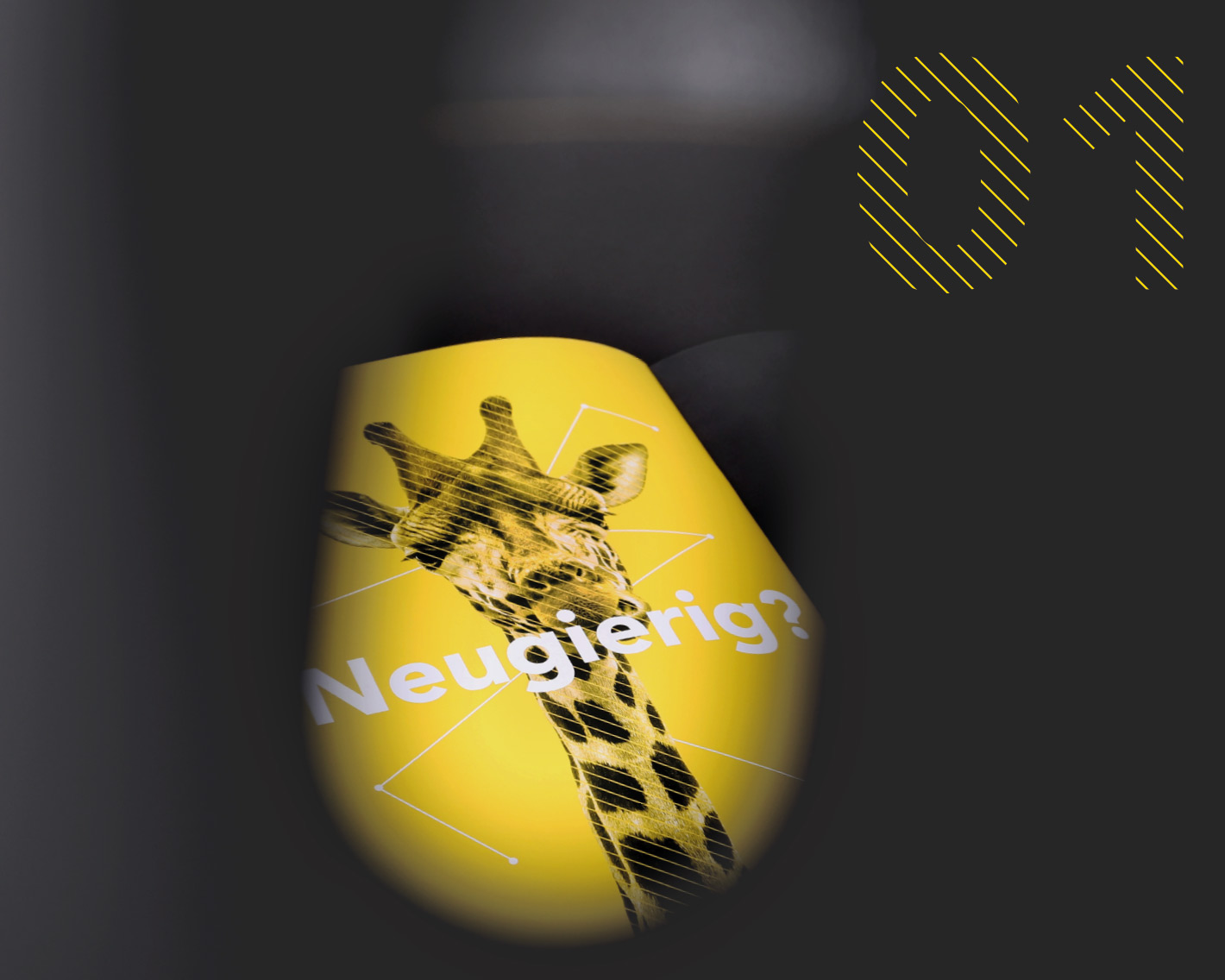 zartbitter Merz + Föhr Referenzbild Broschüre