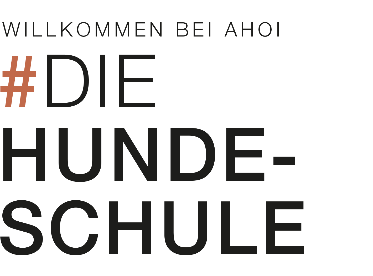 zartbitter Ahoi Hundeschule Text