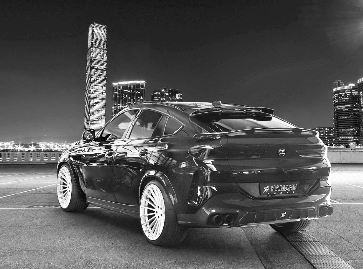 Hamann Referenz Bild