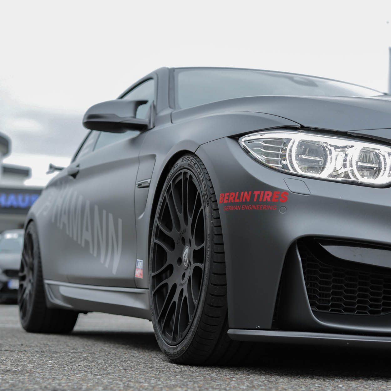 Hamann Referenz