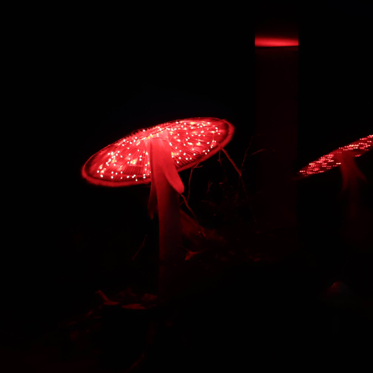 Rotes Signal Bild