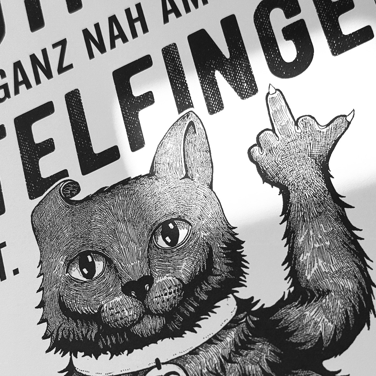 Kalenderblatt Nahaufnahme Katze zeigt Mittelfinger